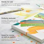 Arteza 5x7 Inch Stretched Canvas Pack of 12