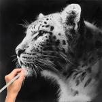 White Charcoal Pencils, Pack of 12 Charcoal Drawing Pencils, Charcoal Pencils for Artists, Art Supplies for Drawing and Highlighting.