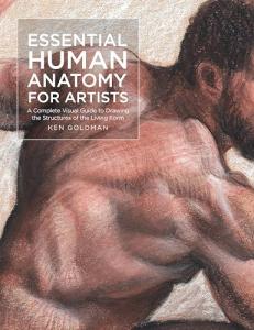 Essential Guide to Drawing Human Anatomy