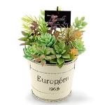 Pajico Modena White Resin Clay, 8.8 oz