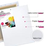 11x14 Inch Phoenix Stretched Canvas Value Pack