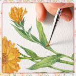 20 Sets Watercolor Card and Envelope Bundle