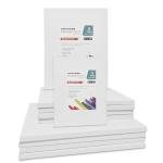 10-Pack Premium Stretched Canvases for Artists