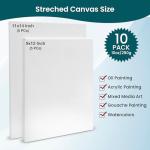 10-Pack Premium Stretched Canvases for Artists