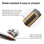 Winsor & Newton Graphite Pencils Set of 6