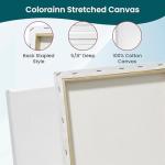10-Pack Premium Stretched Canvases for Artists