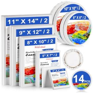 14-Pack Blank Cotton Canvas for Painting