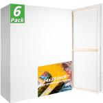 Set of 6 Large 24x36 Stretched Canvases