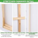 Set of 6 Large 24x36 Stretched Canvases
