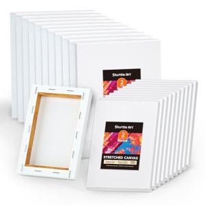 20-Piece Stretched Canvas Multi-Pack for Painting