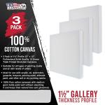 12x12 Inch Square Stretched Canvas 3-Pack