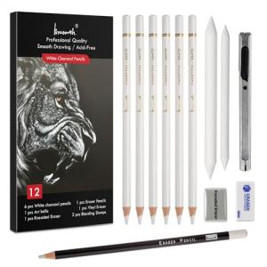 Brusarth 12 Piece White Charcoal Pencil Set