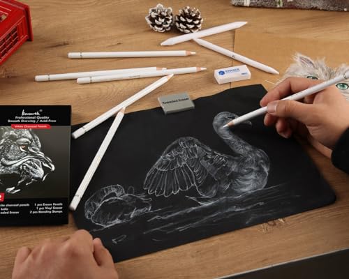 Brusarth 12 Piece White Charcoal Pencil Set