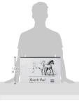 BAZIC 20-Sheet Sketch Pad, 18" x 12