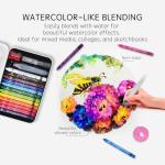 iCrayon 12-Color Water Soluble Pastel Set