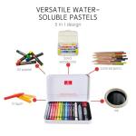 iCrayon 12-Color Water Soluble Pastel Set