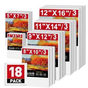 ESRICH Multi Pack Stretched Blank Canvases