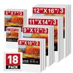 ESRICH Multi Pack Stretched Blank Canvases