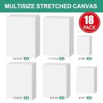 ESRICH Multi Pack Stretched Blank Canvases