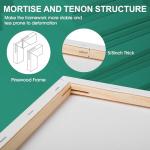 ESRICH Multi Pack Stretched Blank Canvases