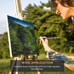 Nicpro 10 PCS Fan Paint Brush Set