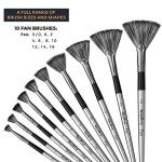 Nicpro 10 PCS Fan Paint Brush Set