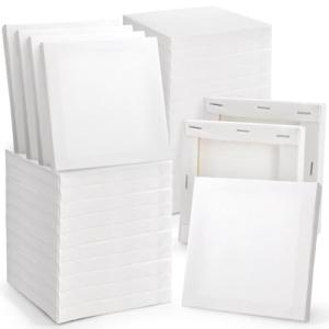 36-Pack Mini Stretched Canvas Panels for Painting