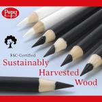 Pepy Charcoal Pencil Set - 6 Assorted Pencils