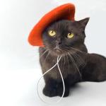 Colorful Wool Beret for Small Dogs and Cats