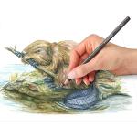 Staedtler Water-Soluble Graphite Pencils Set, 12 Colors