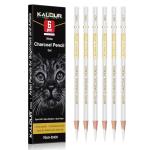 White Charcoal Pencils Set - 6 Pieces