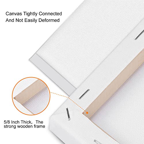 14-Pack Stretched Blank Canvases for Painting