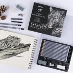 17-Piece Professional Sketch Pencil Set with Erasers