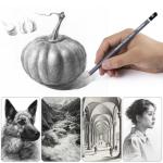 17-Piece Professional Sketch Pencil Set with Erasers