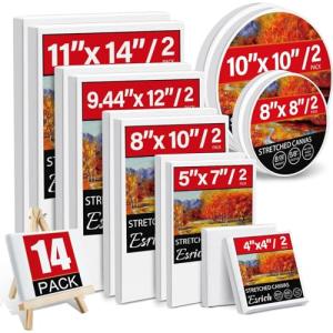 14-Pack Stretched Blank Canvases for Painting