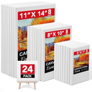 24-Pack Blank Stretched Painting Canvases in Assorted Sizes