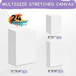 24-Pack Blank Stretched Painting Canvases in Assorted Sizes