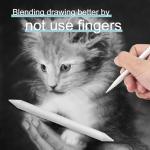 12 Pcs Blending Stumps and Tortillions Set