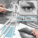 12 Pcs Blending Stumps and Tortillions Set