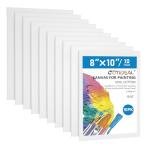 10-Pack 8x10 Inch Gesso Primed Canvas Boards