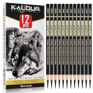 KALOUR Charcoal Pencil Set - 12 Pieces