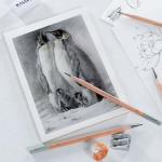 KALOUR 18-Piece Sketch Pencil Set for Artists