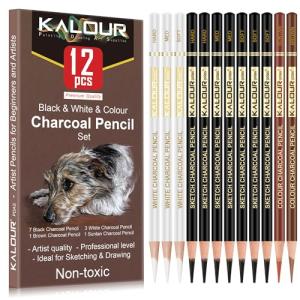 KALOUR Pro Colored Charcoal Drawing Set - 12 Pieces