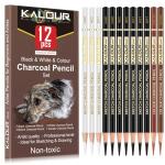 KALOUR Pro Colored Charcoal Drawing Set - 12 Pieces