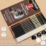 KALOUR Pro Colored Charcoal Drawing Set - 12 Pieces