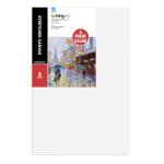 KINGART 24" x 36" Stretched Artist Canvases, 2-Pack
