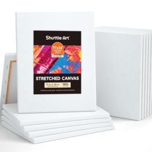 Shuttle Art 12-Pack 11x14 Inch Stretched Canvas