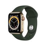 Apple Watch Series 6 (GPS + Cellular, 40mm) - Gold Stainless Steel Case with Cyprus Green Sport Band (Renewed)