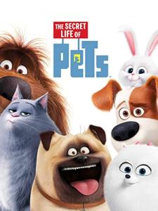 Secret Life of Pets Training Gear