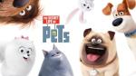 Secret Life of Pets Training Gear